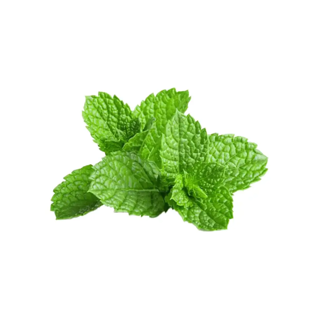 [SEED11] Mint