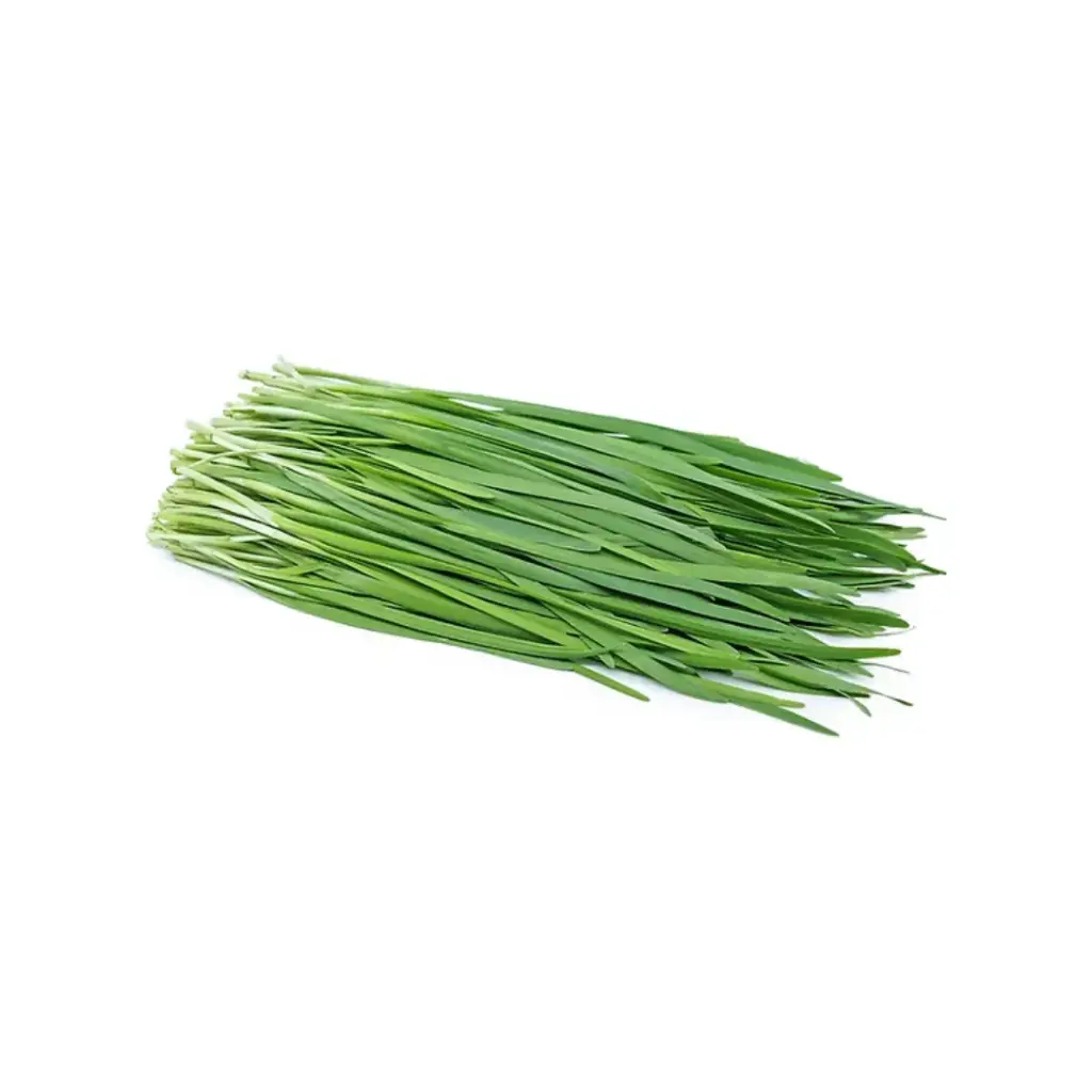 [SEED24] Chives